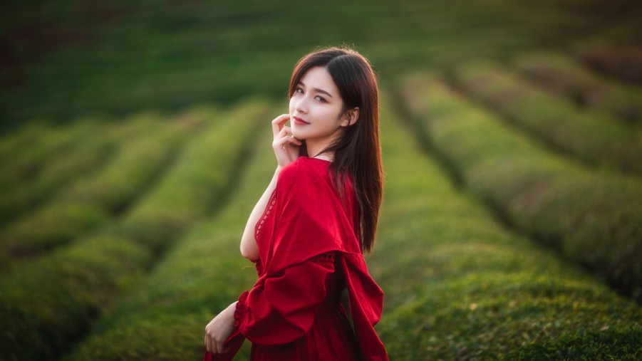 如何选择最佳的SEO网站排名优化公司