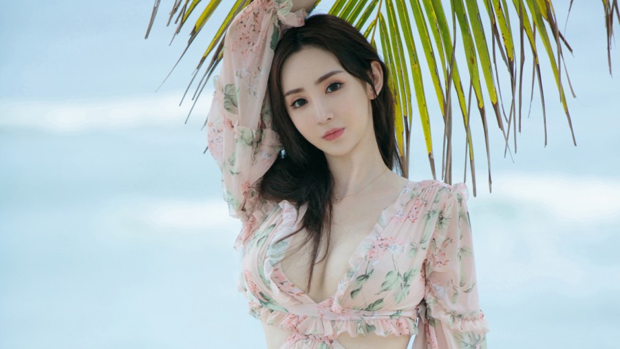站群系统和蜘蛛池区别